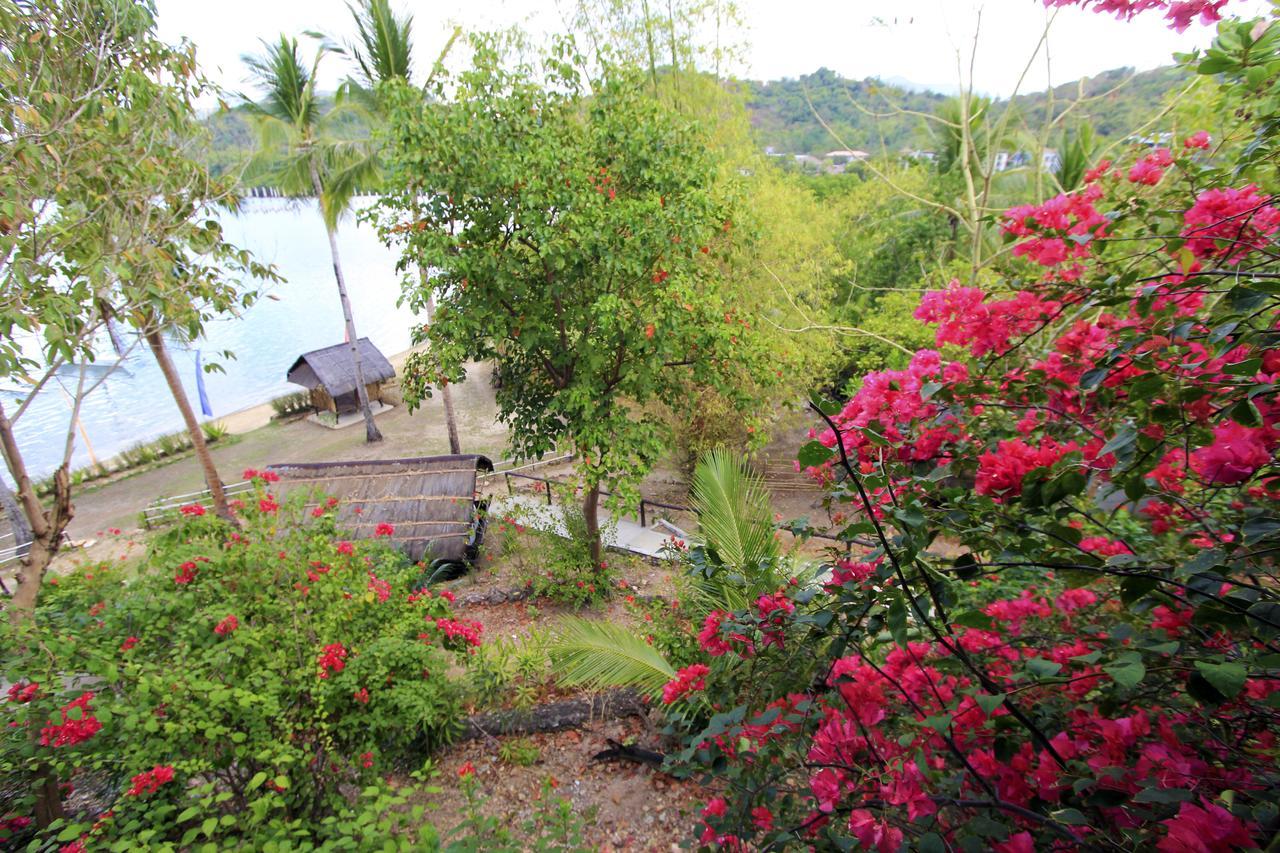 Discovery Island Resort Coron Exteriér fotografie